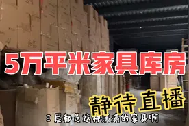 5万平米的家具库房超大体量，涉及5大风格体系，全屋家具配套齐全视频封面