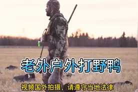 老外没人性，一天打几十只野鸭，这要是国内不得无期徒刑！视频封面