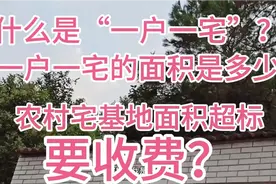 农村宅基地面积超标要收费？几人算一户？一户一宅的面积标准视频封面