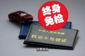 驾照年审条件视频封面