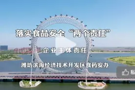 如何落实食品安全“两个责任”企业主体责任视频封面