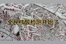 明天哈尔滨市全民进行核酸检测，不进行核酸检测健康码变黄视频封面