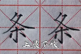 楷书练字“条”字，撇捺舒展，底部横短，书写稳健视频封面