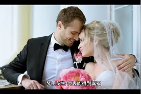 周公解梦之梦见花生视频封面