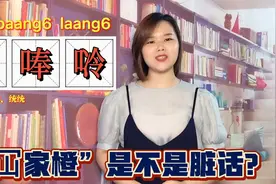 冚的意思有几个？广东人说的冚家原来不是简单的骂人视频封面