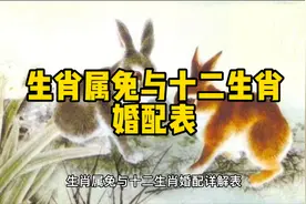 生肖属兔与十二生肖婚配表#生肖婚配 #生肖兔 #属兔的人视频封面