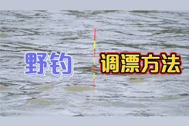 野钓调漂方法，超过4克的浮漂调出1克的灵敏度，这方法出奇的好用视频封面