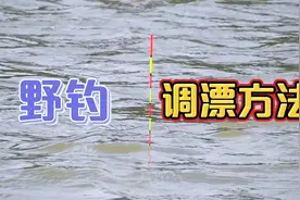野钓调漂方法，超过4克的浮漂调出1克的灵敏度，这方法出奇的好用视频封面