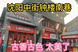 沈阳中街钟楼南巷古香古色，建设的太美了，很有特色。视频封面