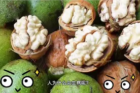 人为什么会生病😷呢？原来是这么回事，以后要注意！视频封面