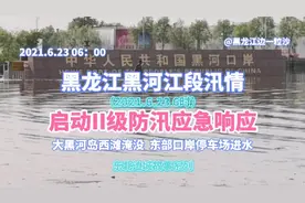 黑龙江黑河：大岛西滩淹没，东部口岸停车场进水，应急响应再升级视频封面
