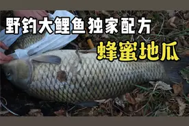 自制饵料教程，蜂蜜地瓜野钓30多斤的大鲤鱼