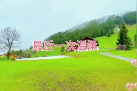 《最后一次温柔》突然那么多年感情，那么多年守候都化为乌有视频封面