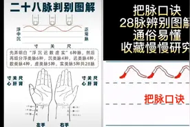 把脉口诀 28脉辨别图解通俗易懂，收藏关注我分享健康养生知识。视频封面