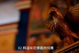 释迦牟尼佛割肉喂鹰故事视频封面