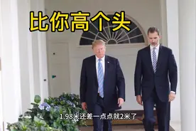 俯视川普的男人-西班牙国王菲利普视频封面