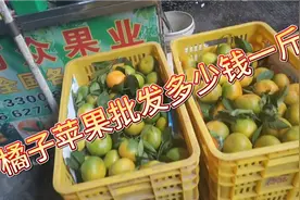现在的橘子批发多少钱一斤？海南苹果🍎批发多少钱一斤？看看去。视频封面