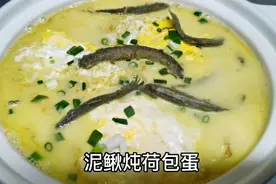 物是人非，泥鳅炖荷包蛋，再也回不去原来的味道视频封面
