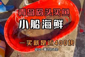 青岛码头上买海鲜，老板鱼48一斤，大家看看值不值视频封面