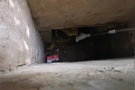 车友发现一只流浪狗掉进了公园的下水道里出不来，我们一起营救视频封面