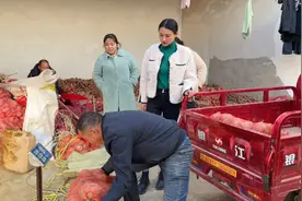 红薯9毛一斤，买120斤刨片晒干，邻居给介绍对象，丹丹太尴尬了视频封面