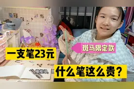 都说小娜子没有品牌笔，妈妈网购4支斑马笔，限定款23元太贵了吧