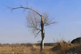 正拍视频，一位老乡过来问你干什么呢？我说拍着玩，他扭头走了。