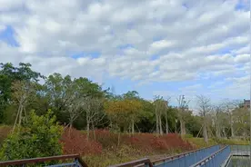 有的人对你态度不好，是你没啥社会地位和利用价值，不是你不可爱视频封面