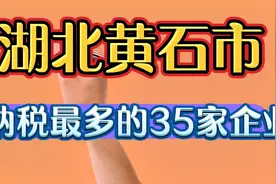 湖北黄石市纳税最多的35家企业视频封面