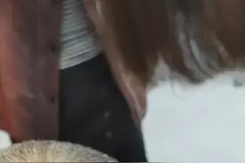 关于白发能不能够转黑？图片