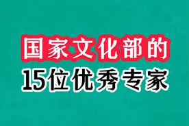 国家文化部的15位优秀专家，皆为出类拔萃的大明星，你认识哪几位视频封面
