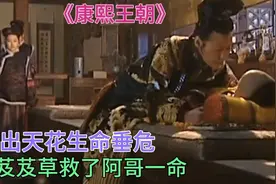 孝庄亲自照顾阿哥，玄烨出天花生命重危，不料芨芨草救了阿哥一命