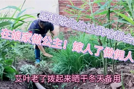 在娘家做公主，嫁人了尝尽人间百态冷暖自知幸亏赚到两家上市公司视频封面