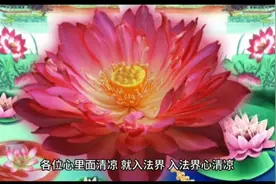 入法界视频封面