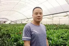 花农阿木分享四季茶花知识视频封面