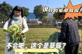 不会吧！这个是草莓？视频封面