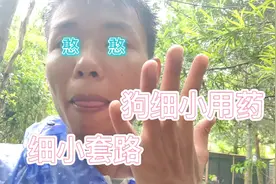 狗细小用怎么用药！用什么药？