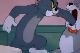 搞笑动漫配音《猫和老鼠》因为一块火腿友好协议失效了。视频封面