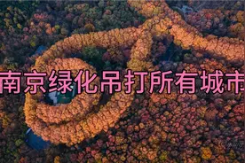 南京绿化为什么能吊打中国所有城市，中国绿都名副其实！视频封面