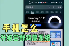 华为荣耀手机，怎么升级尝鲜鸿蒙系统！