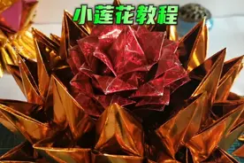 小莲花的折叠全过程，莲花底座，花瓣和花芯的完整教程视频。视频封面