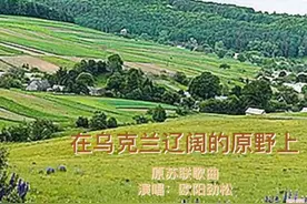 在乌克兰辽阔的原野上（原苏联歌曲）
