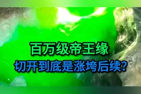 百万级帝王绿，切开后续，到底是涨的还是垮（解析）？#翡翠原石视频封面