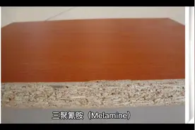 三聚氰胺视频封面
