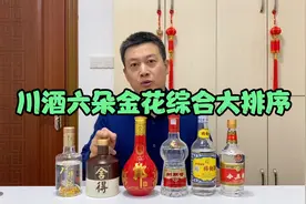 川酒六朵金花大排序，五粮液 泸州老窖 剑南春 郎酒 舍得 水井坊视频封面