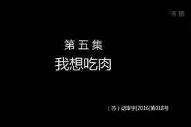 【小萝卜头】第05集 我想吃肉视频封面