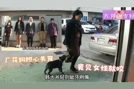 厂花小狗只追着女性咬，原来是担心自己失宠，最后被专家一招制服视频封面