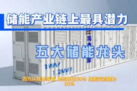 储能产业链上最具潜力的五大储能龙头#储能视频封面
