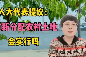 人大代表提议：重新分配农村土地，看看会实行吗视频封面