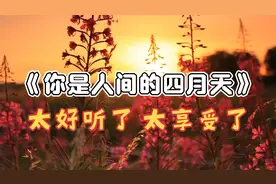 林徽因《你是人间的四月天》，央视主持人李修平朗读，太好听了视频封面